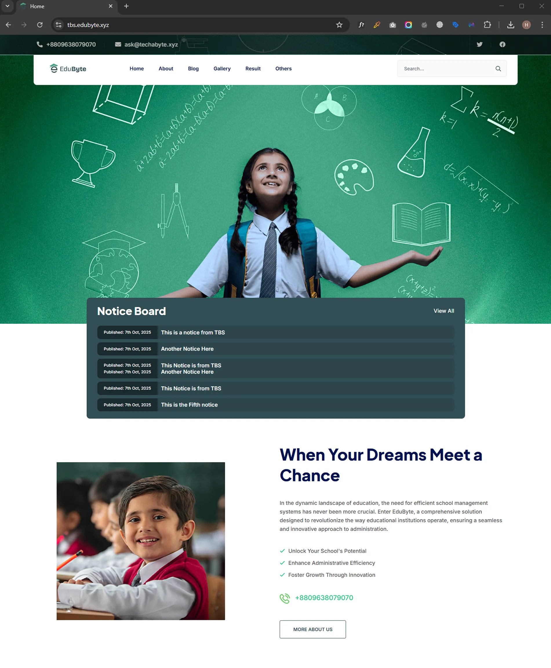 Dummy Website Mockup
